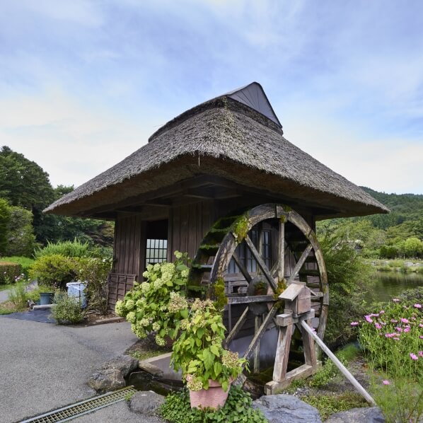 DAY4 MINAMITSURU&HAKONE