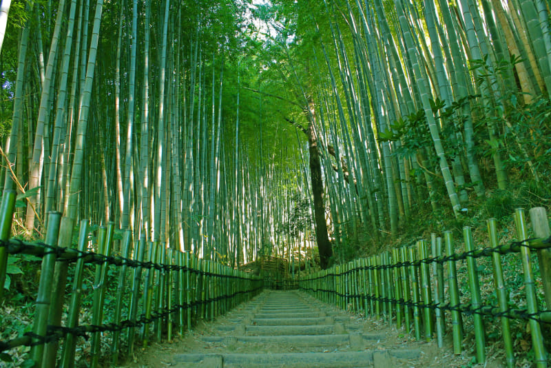 Chiba Prefecture Sightseeing Spots