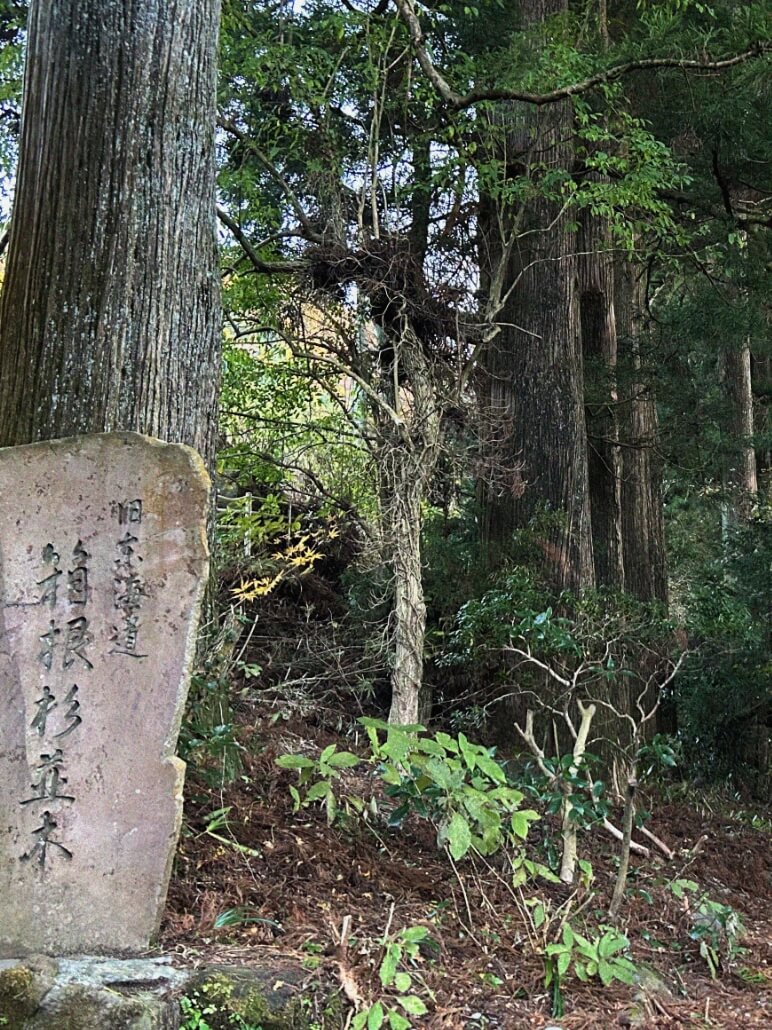 Kanagawa Prefecture Sightseeing Spots
