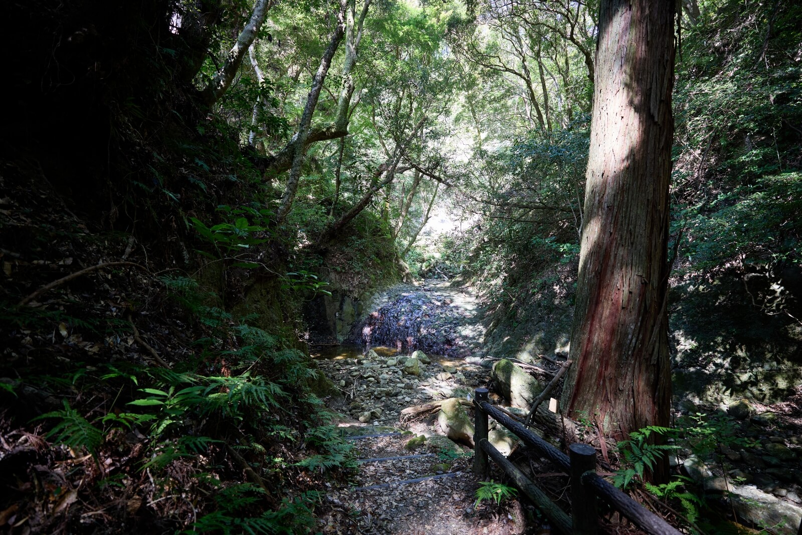 Photo of the Kajika Bridge