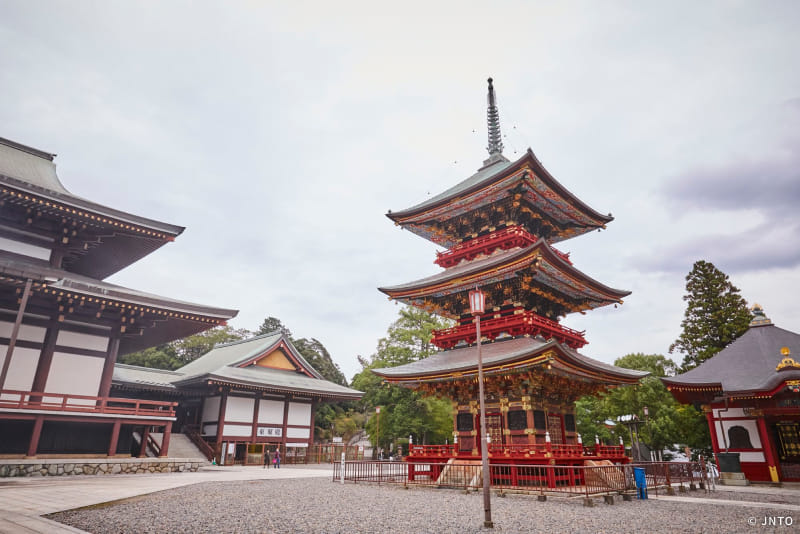 Photo of the Naritasan Shinsho-ji Temple