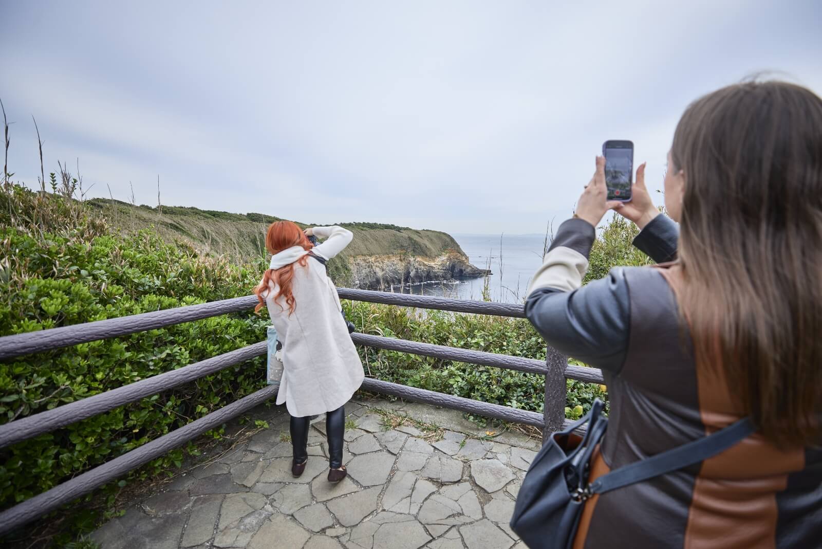 Photo of the Jogashima Park