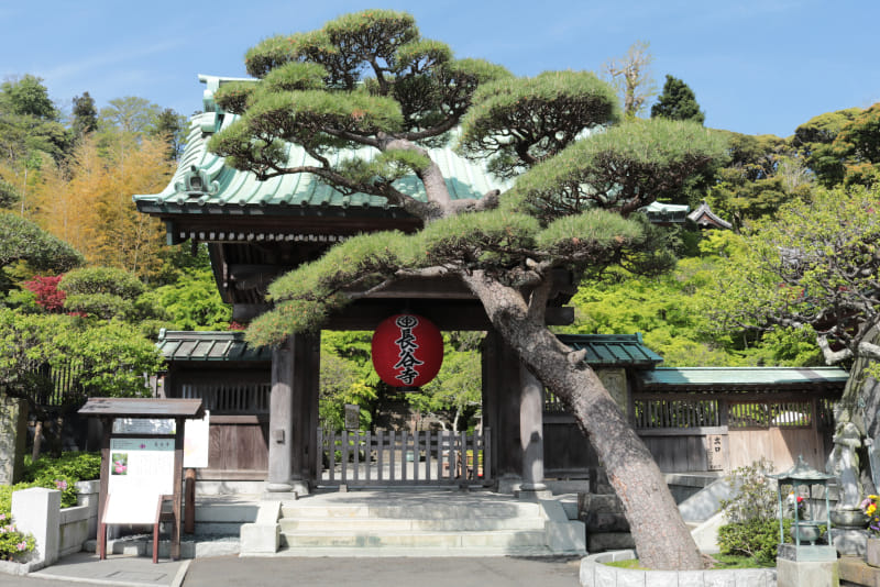 Photo of the Hasedera Temple
