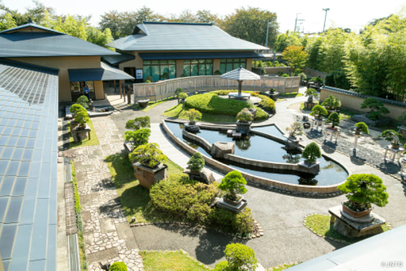 Photo of the Omiya Bonsai Art Museum, Saitama