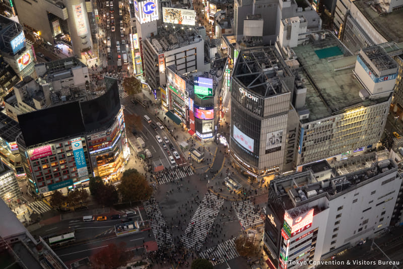 Photo of the Shibuya Scramble Crossing