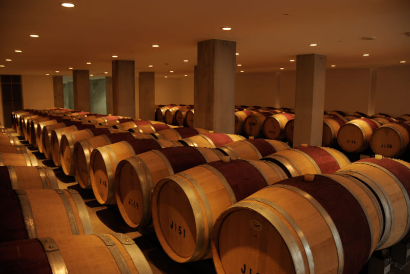 Photo of the Château Mercian Katsunuma Winery